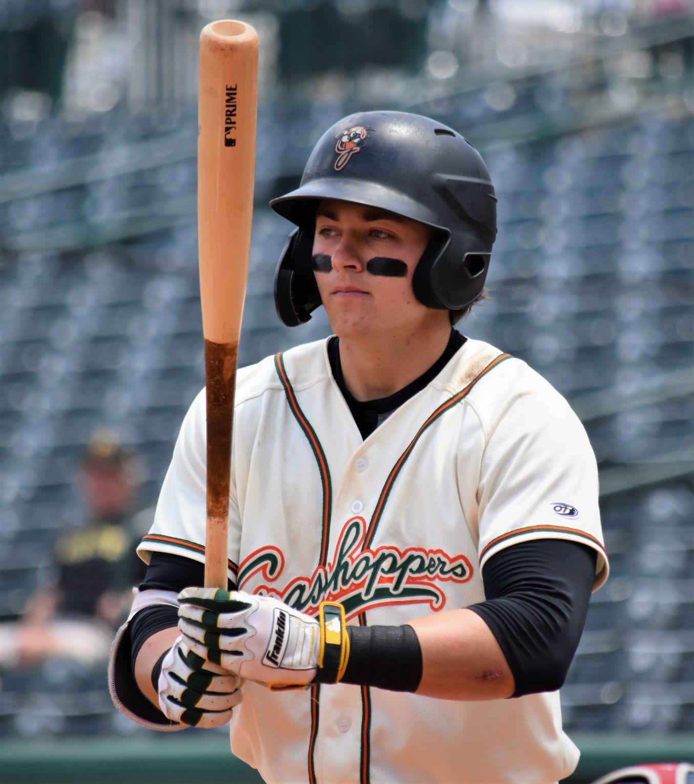 Hoppers 2019 Mason Martin bat 1